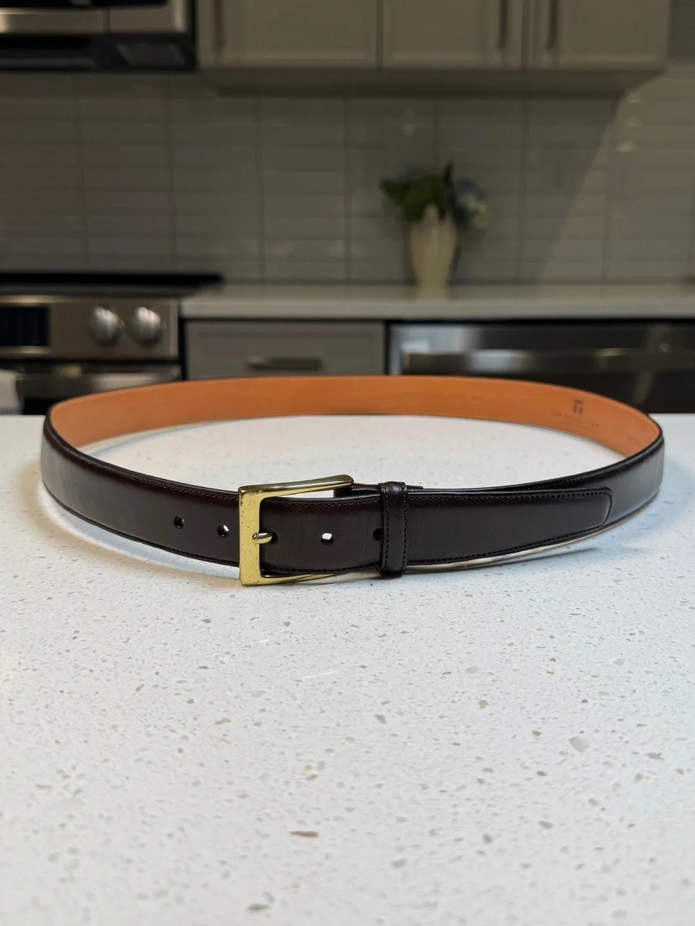 Trafalgar Dark Brown Cortina Leather Belt Square Solid Brass Buckle 38